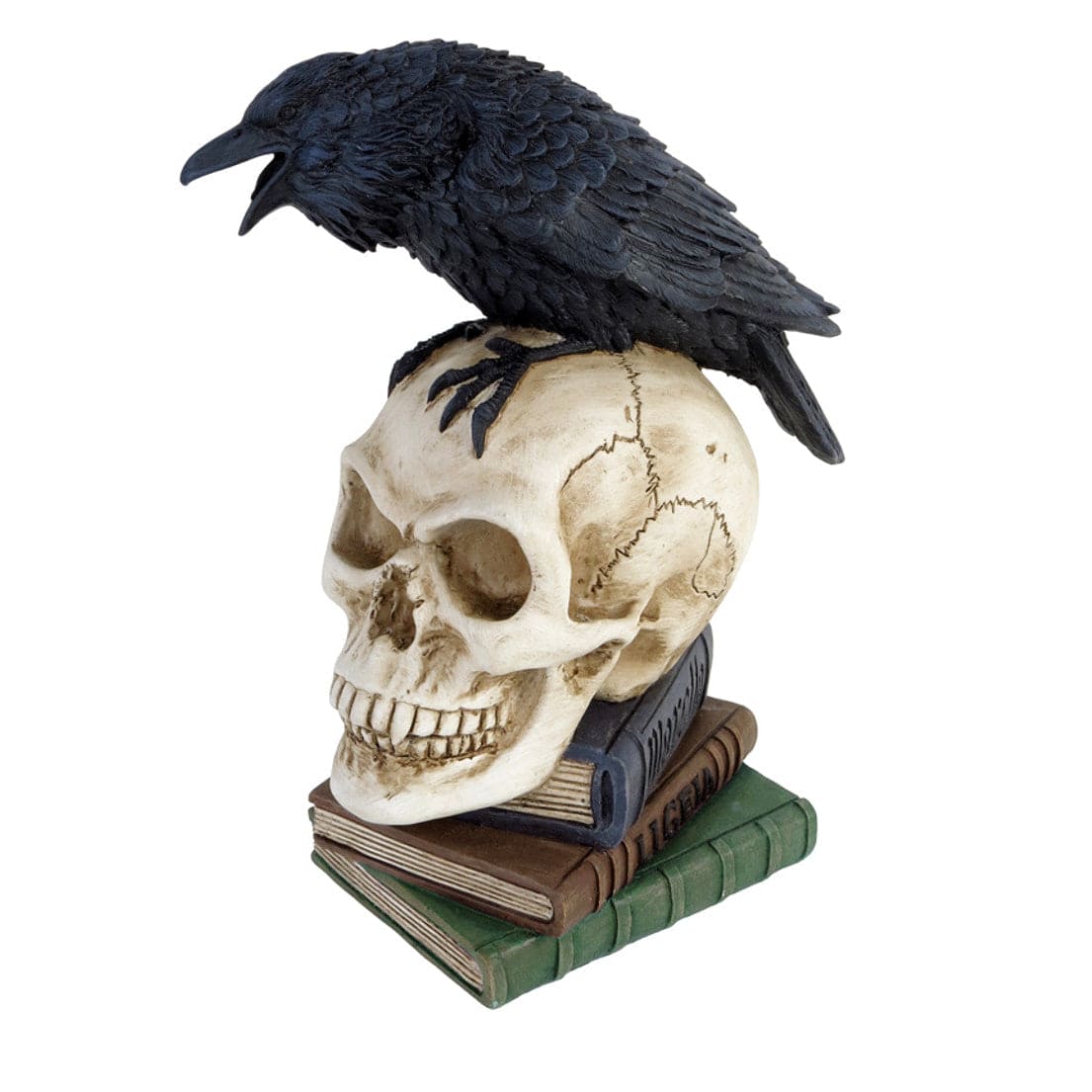 Raven Skull Nevermore Inscription A Must Have For Gothic Lovers