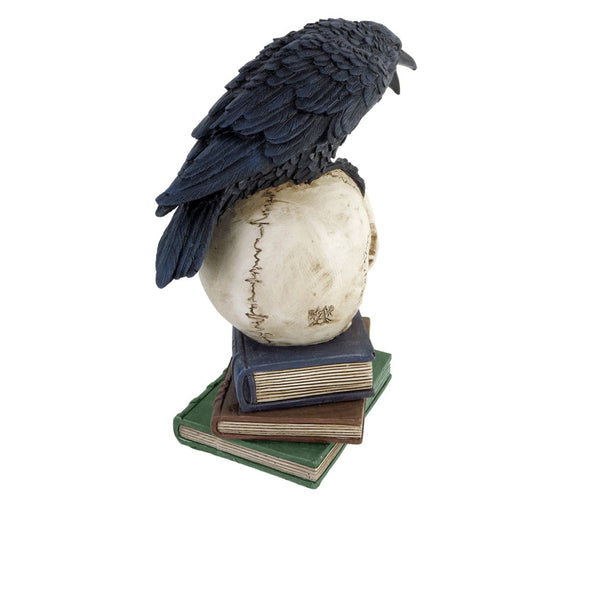 Raven Skull Nevermore Inscription A Must Have For Gothic Lovers