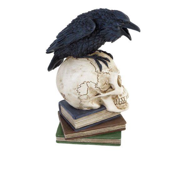 Raven Skull Nevermore Inscription A Must Have For Gothic Lovers