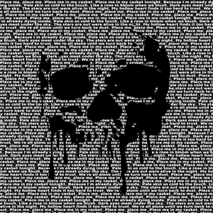 Skull song lyrics