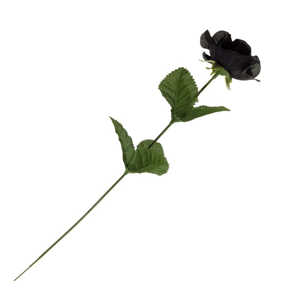Black Imitation Rose Symbol Of Perfection & Tragic Love