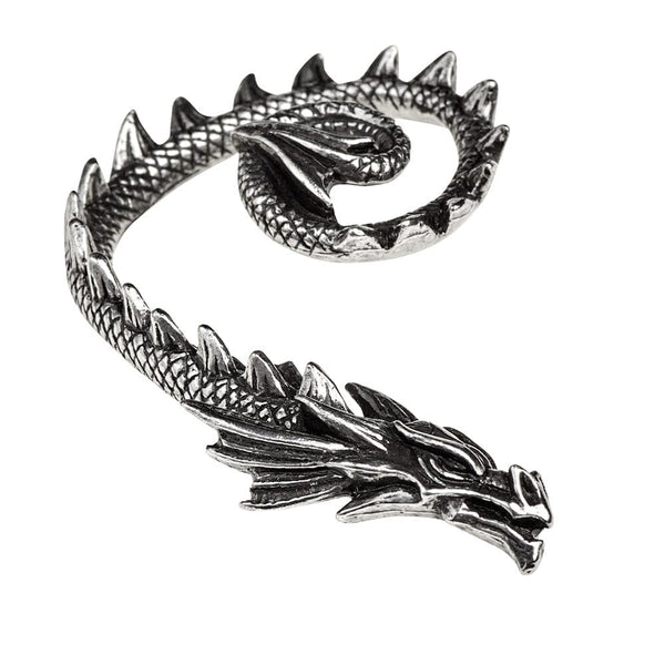 A Dragon Wrapping Around The Ear Wrap