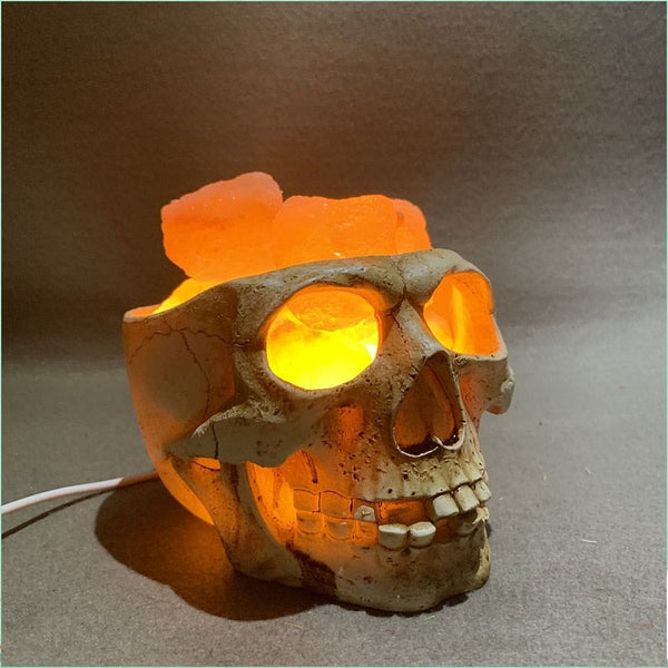 Skull Himalayan Crystal Salt Lamp USB Dimmable Night Light - Skull Clothing and Accessories Skull only Merchandise